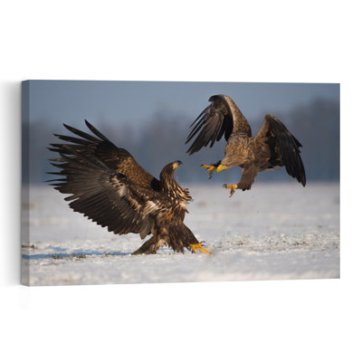 Majestic Eagles Confrontation Abstract Contemporary Bird Eagle Landscape Nature Wall Art Print