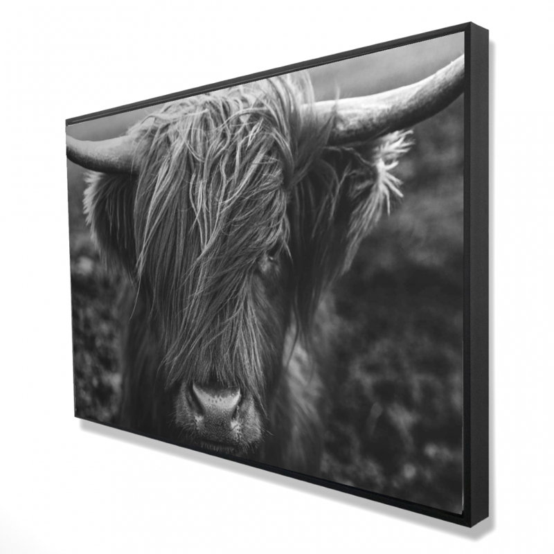 «Portrait monochrome Highland Cow» sur toile