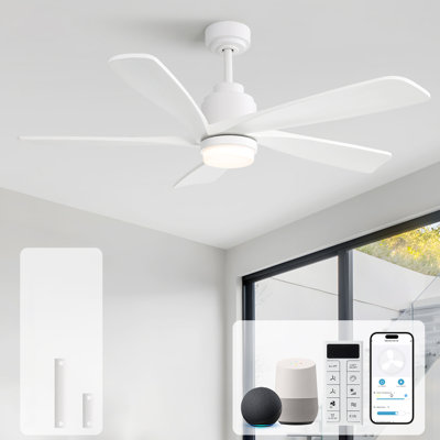 Damecia 52'' Ceiling Fan with LED Lights