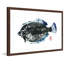 « summer flounder », reproduction d’art encadrée-20585050