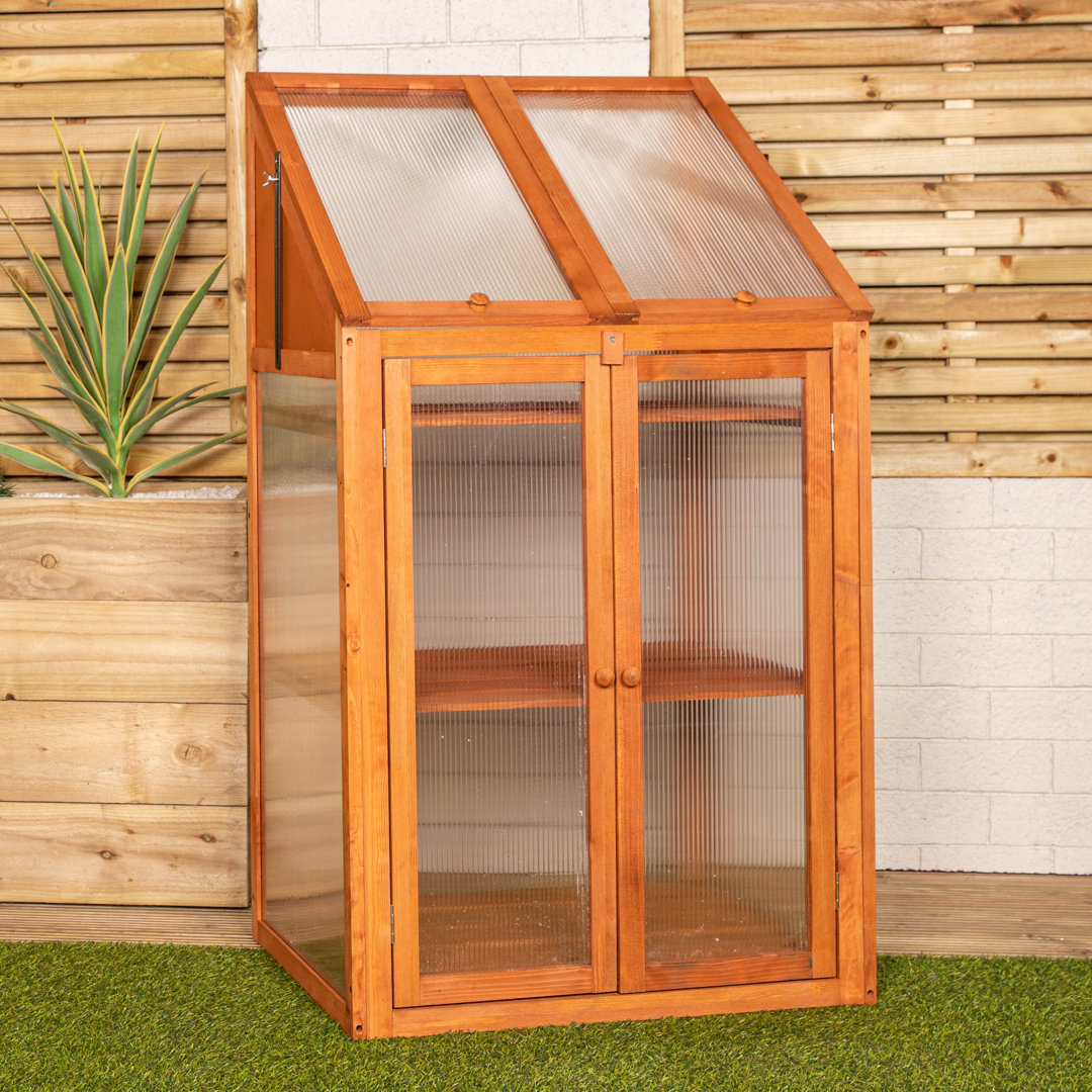 Samuel Alexander 2Ft. W x 2Ft. D Mini Greenhouse
