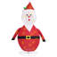Indoor / Outdoor Holiday Lighting-243924008