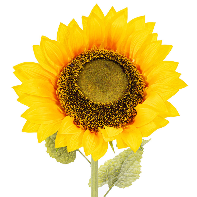 Sunflower Arrangement