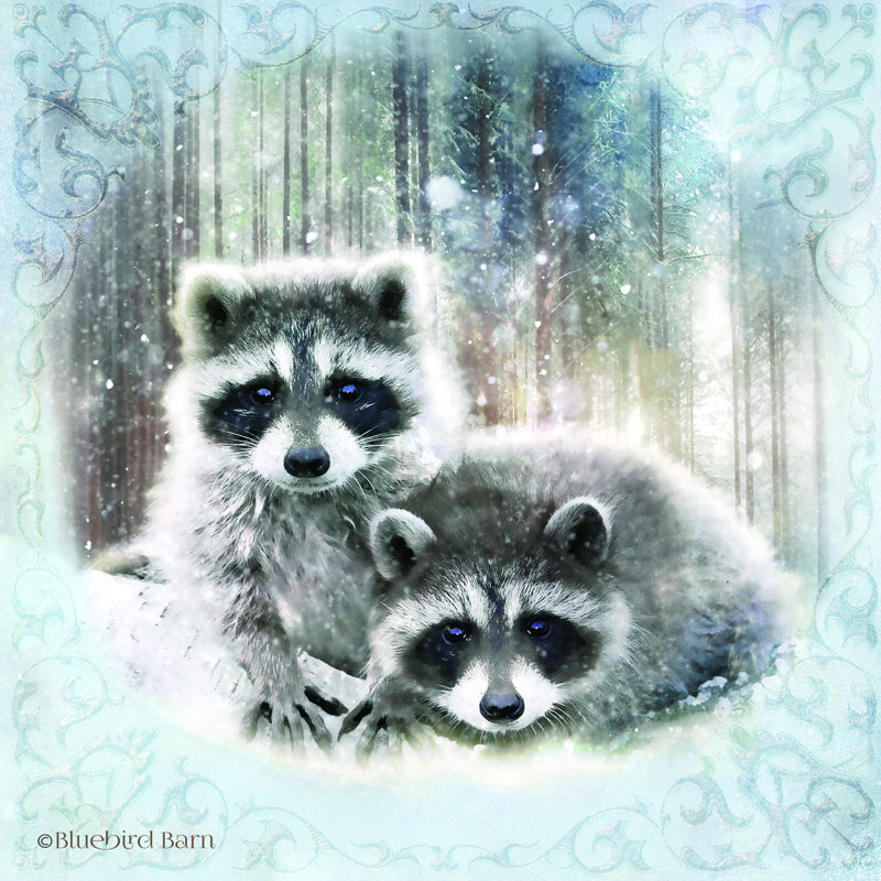«Enchanted Winter Raccons» par Bluebird Barn - impression, H 20 po x l 20 po, Toile tendue