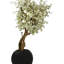 Pot à fleurs en forme de cerisier blanc dans un globe beige mat 30 po-136252220-136252222