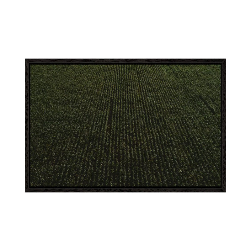 Rural Corn Fields II 1 Piece Wall Art on Canvas, 45.72cm H x 66.04cm W x 3.81cm D, Black Framed