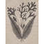 Art sur toile tendue Red Barrel Studio® Vision Studio Gallery: Eloquent Leaves IV-1970252402