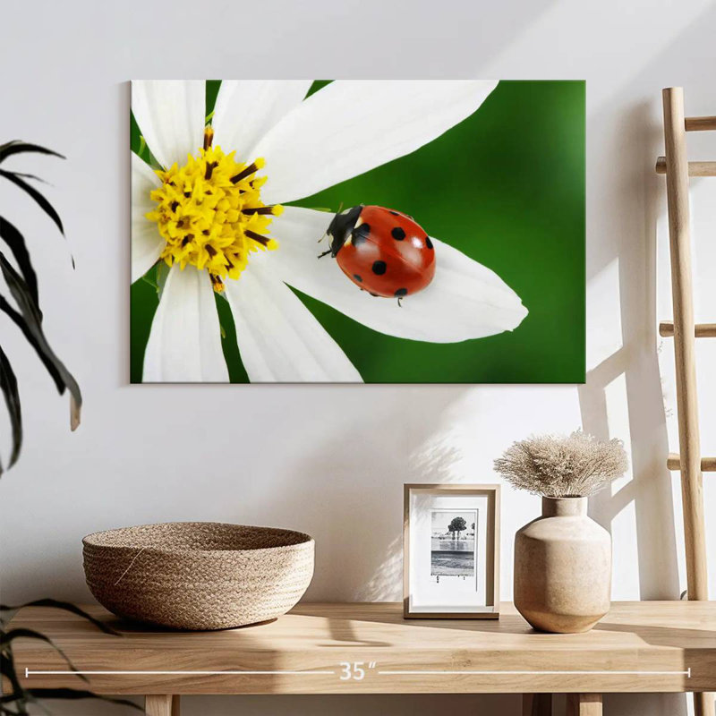 Brampt Ladybug On White Flower, 16" H x 24" W