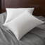 Cuddledown Sateen 800FP Down Pillow-2125347782-2137810606