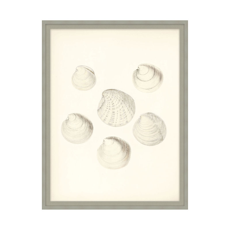 Shore's Treasure 1 par Studio L57 Nouvelle - reproduction d'un seul cadre, H 12,75 po x l 10,75 po