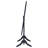 Dunne Black Cheval Mirror
