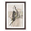 Samurai Ichikawa Omezo by Katsukawa Shunko - Picture Frame Painting Print-55613237-55613238