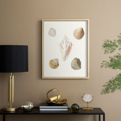 «Pastel Knorr Shells», reproduction encadrée Pastel