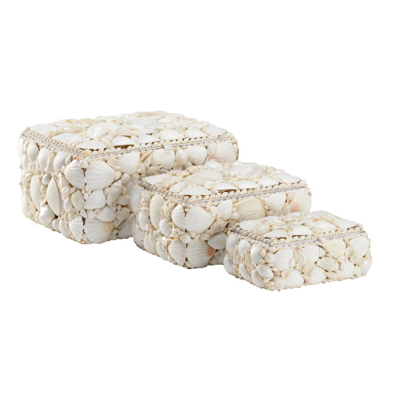 Shells Decorative Box