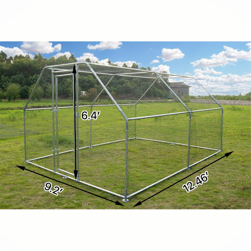 Poulailler avec treillis métallique 130 pi² Crisinda, H 6,5 po x l 81,16 po x P 13,6 po