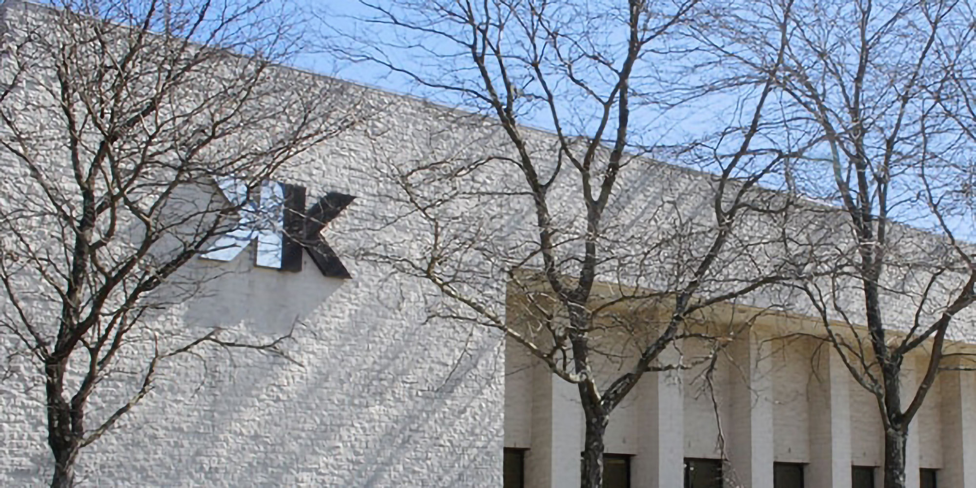 Kravet Performace Vinyl Striped Wallpaper Panel Perigold