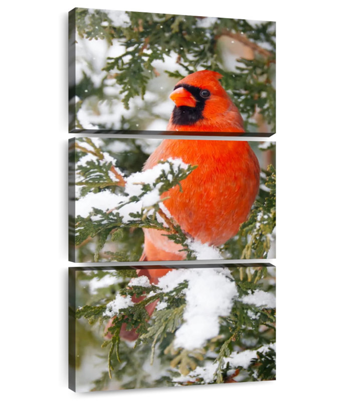 Winter Cardinal, 75" H x 36" W