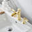 Widespread 2-handle Bathroom Faucet with Drain Assembly-99926946