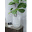 129 cm H Faux Fiddle Leaf Fig Tree Plant in Plastic Pot