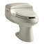 San Raphael® 1 GPF Water Efficient Elongated One-Piece Toilet (Seat Included)-623572091