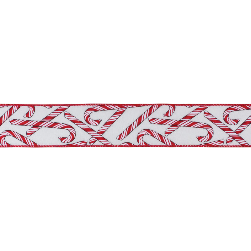 Ruban de canne à sucre câblé (ensemble de 2)