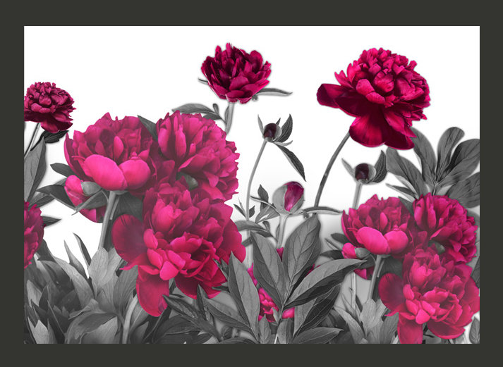 Lush Meadow 2.1m x 300cm Wallpaper, 210L x 300W