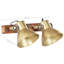 Kendra Spotlight-1256906702-1256906701