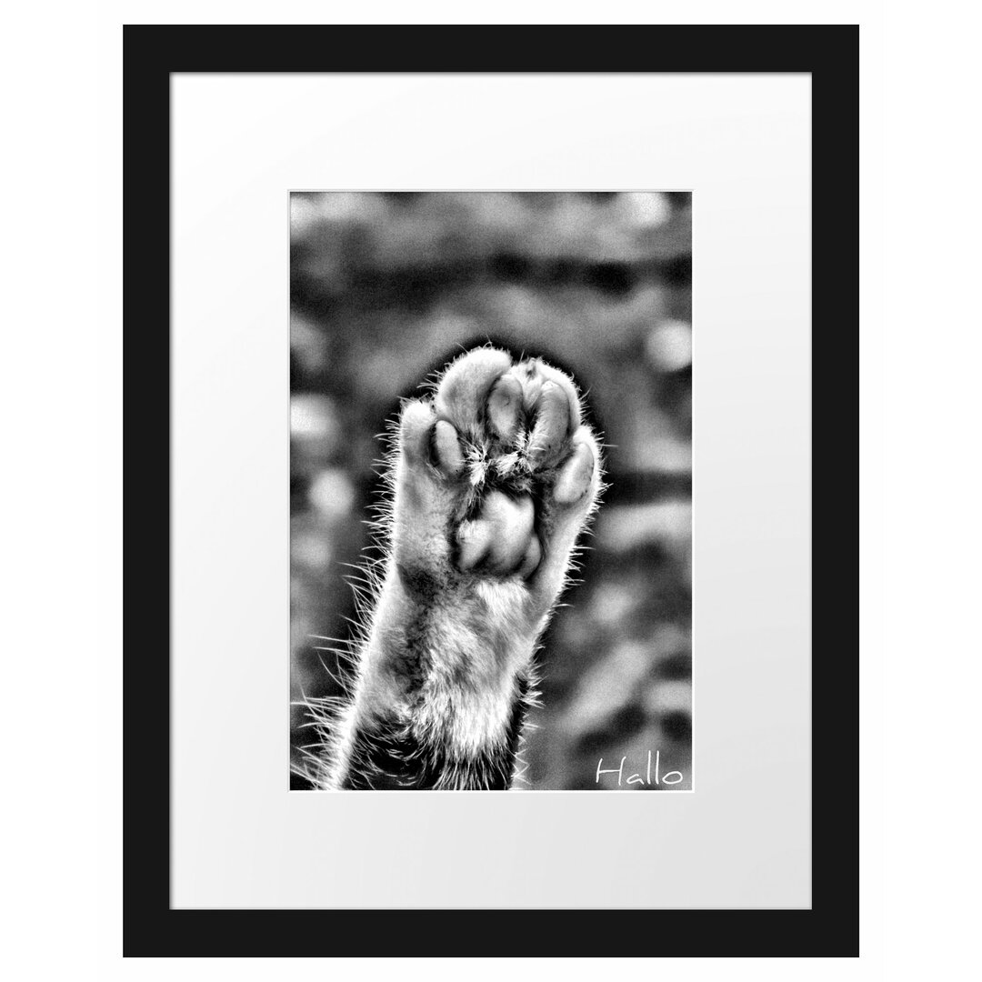 Gerahmtes Poster Small Cat Paws