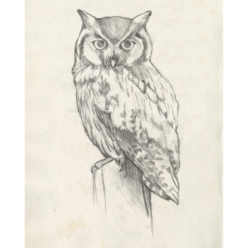 Portrait d'un hibou II, H 18 po x l 12 po x P 1,25 po