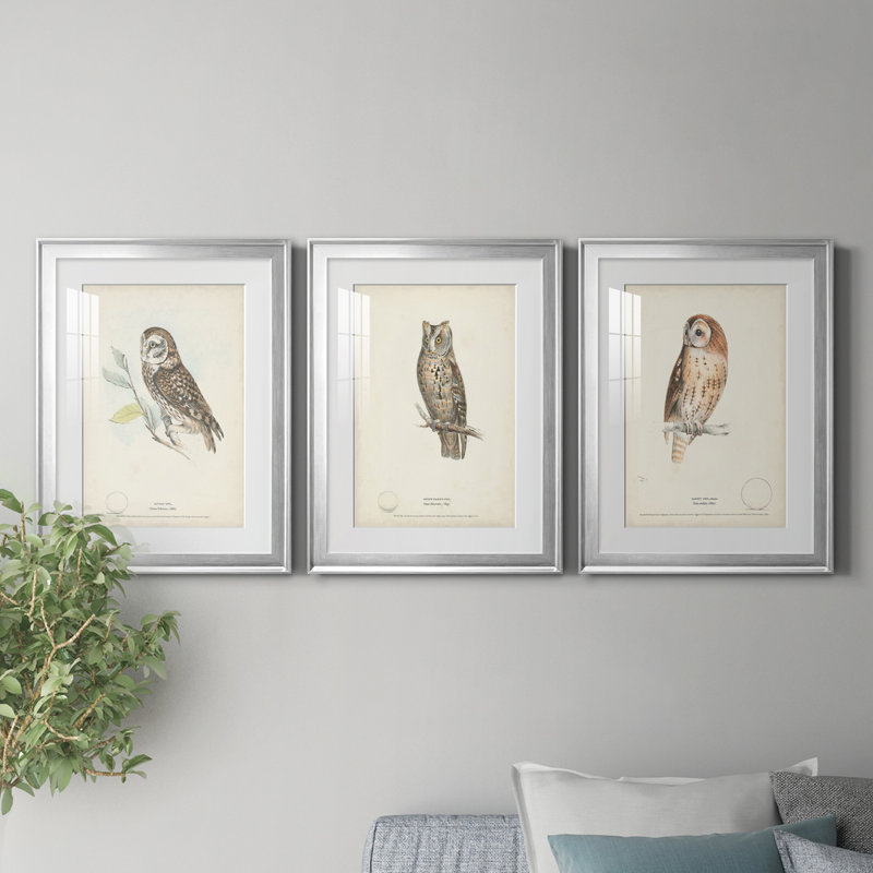 «Little Owl», reproduction encadrée de qualité supérieure - prête à être accrochée, H 42,5 po x l 91,5 po x P 1 po, Blanc