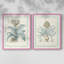 Willow Blue Besler III-Premium Framed Print -Ready to Hang - No Nails Required - No Nails Required-572726506-572726513