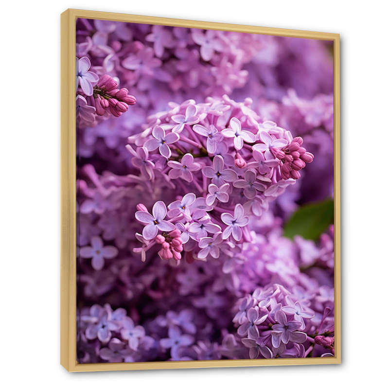 «Lilac mauve», reproduction sur toile, H 32 po x l 16 po x P 1 po, Cadre naturel flottant