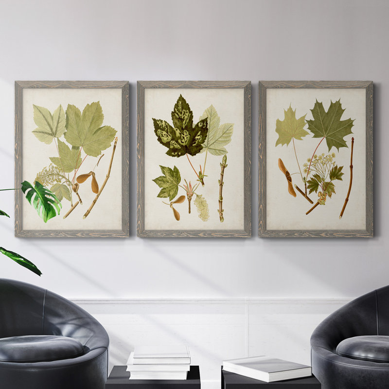 Feuilles antiques IV - ensemble de 3 peintures sur toile encadrées, H 31,5 po x l 47 po x P 1,5 po, Gris