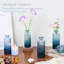 Ensemble de 12 vases en verre Bud-207987494