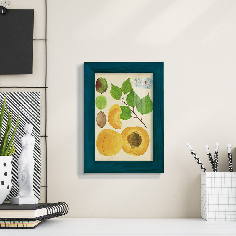 «Apricot Study II», reproduction d'art encadrée, H 8 po x l 6 po x P 1 po, Bleu