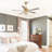 Emille 52'' Ceiling Fan with Light Kit