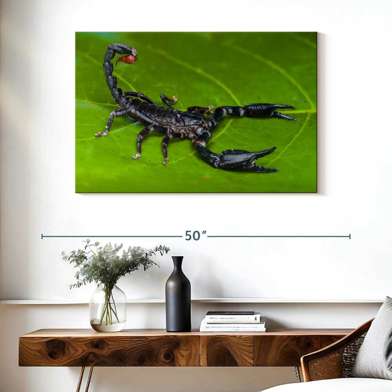 Scorpion de forêt, H 26 po x l 39 po