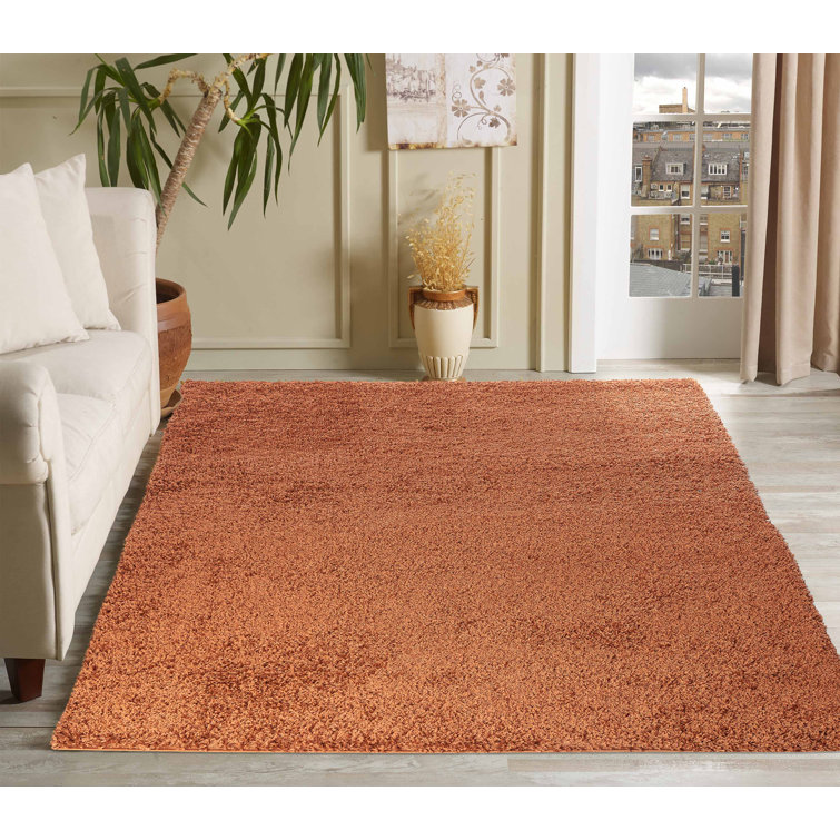 Esterly Solid Colour Shag Area Rug