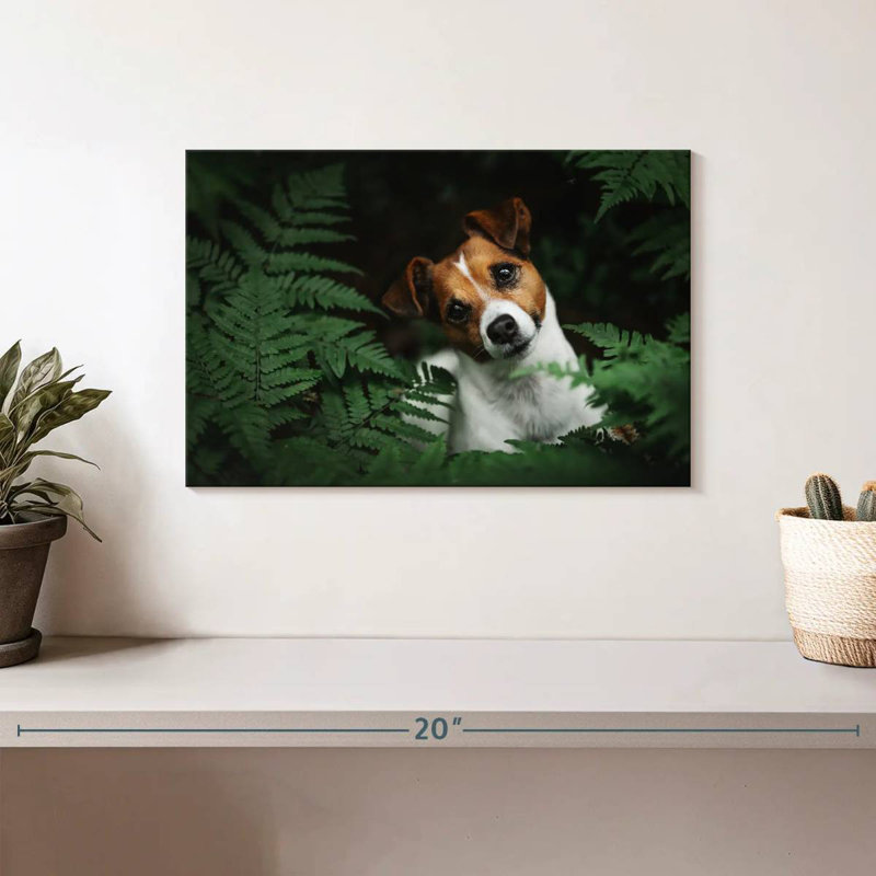 Adorable terrier