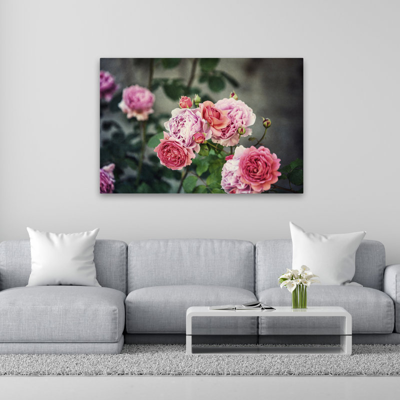Plantes, fleurs, roses d'Ecosse III, art mural, H 40 po x l 60 po