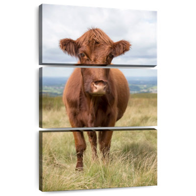 Brampt Brown English Countryside Cow
