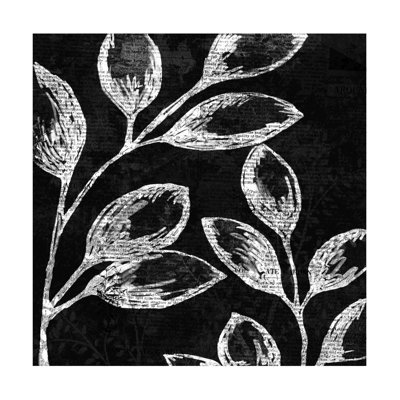 Feuilles blanches sur fond noir