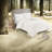 Cozy Cotton Chenille Bedding Sets, Shabby Chic Farmhouse Design