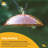 Birds Choice 10" Color Pop Collection Protective Dome Cover for Hanging Bird Feeders, Teal-81120545