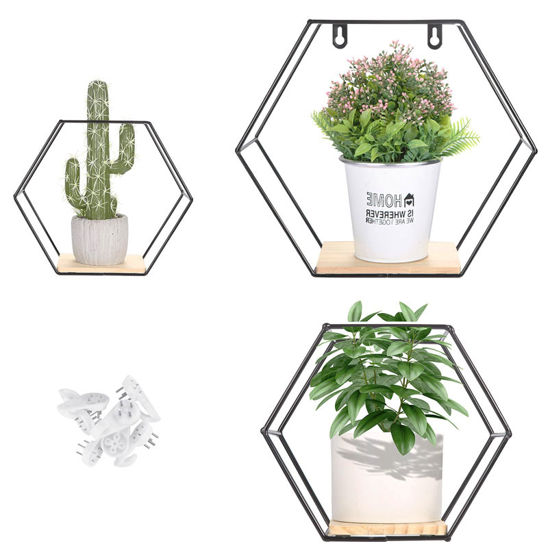 Iarla 3 Piece Hexagon Accent Shelf