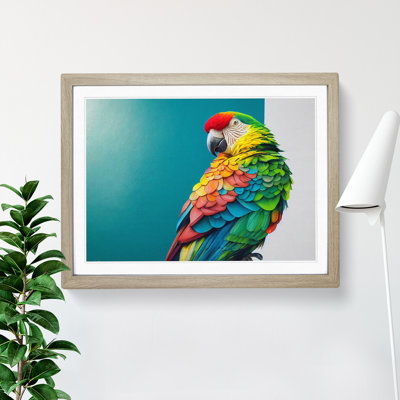 Captivating Parrot - Framed Print