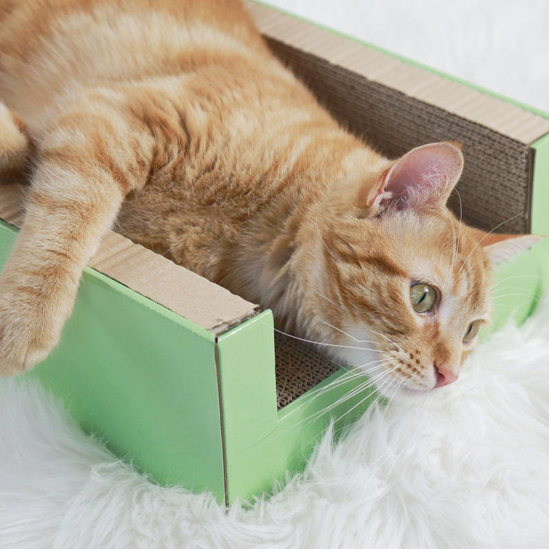 Grattoir pour chat Keyser Original