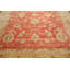 Tapis corail en laine noué à la main de conception unique 9 pi 1 po x 12 pi Elwina