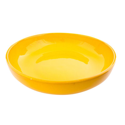 World Menagerie Michalak Ceramic Salad Bowl