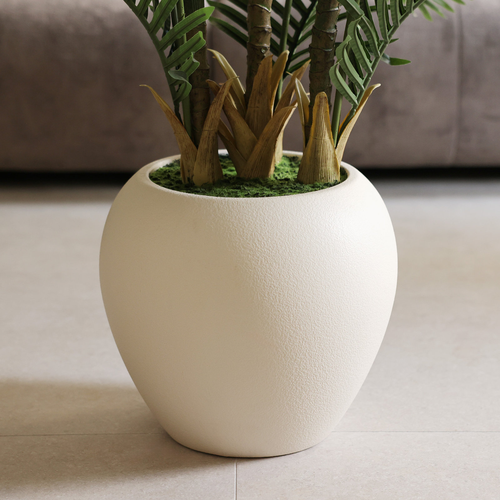 Moreell Palm Tree Plant in Pot, 96" H x 62" W